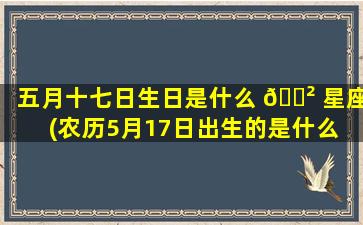 五月十七日生日是什么 🌲 星座(农历5月17日出生的是什么 🪴 星座)